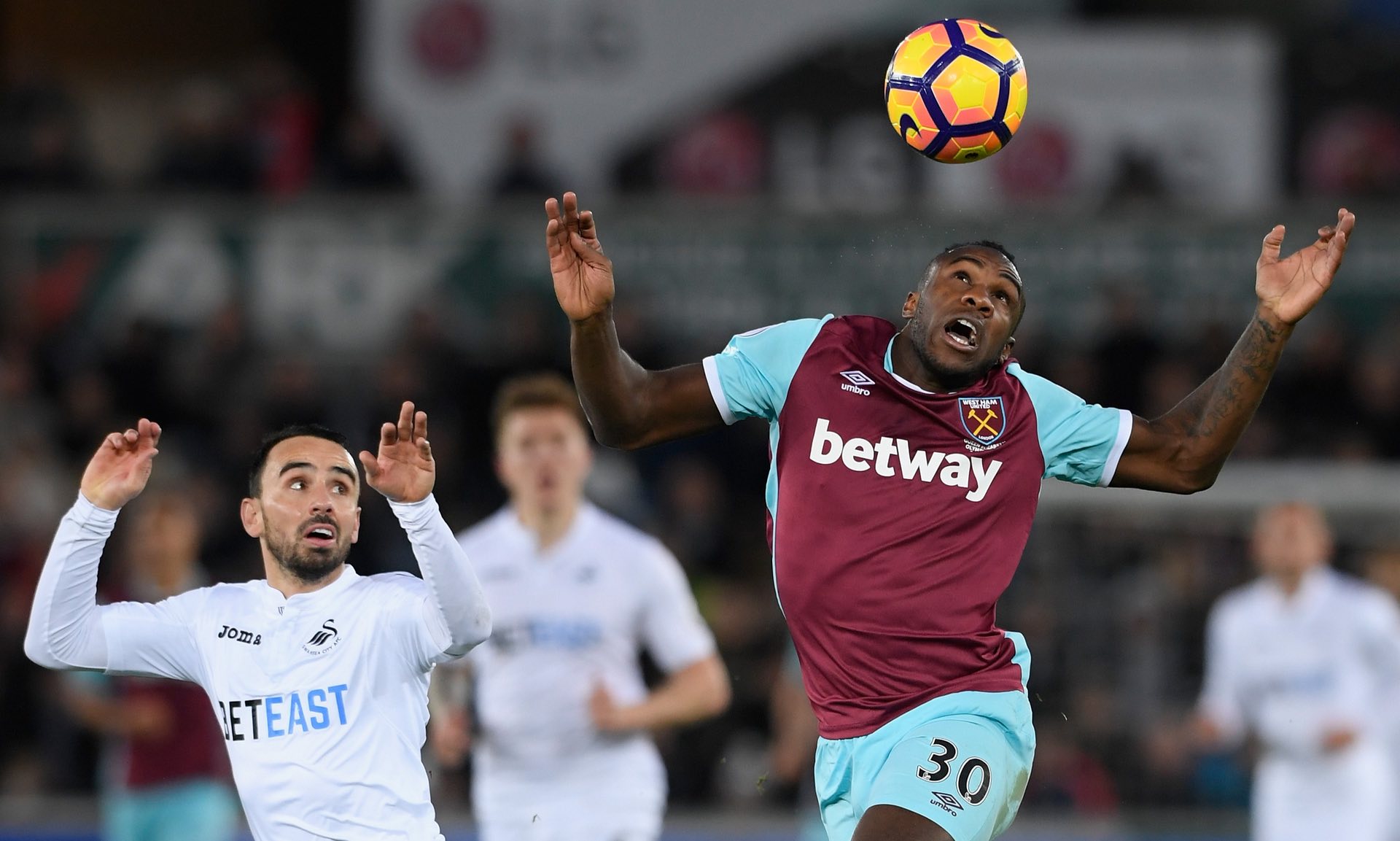 也如鱼得水 也如鱼得水